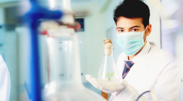 nss college of pharmacy